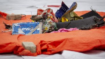 スリウィジャヤ航空SJ-182犠牲者の飛行機の破片と10ボディバッグの一部を含む10個のバッグがあります