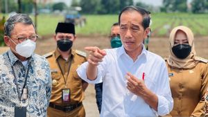 Target Swasembada Gula, Jokowi Mengaku Sudah Siapkan 700 Ribu Hektare Lahan Tebu