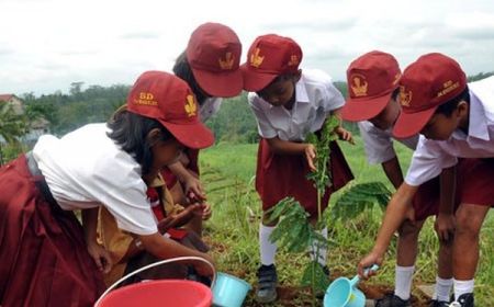 Temanggung Siapkan 125.000 Bibit Pohon untuk Hijaukan Lahan Kritis