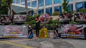 8 ans plus tard, l'engagement de l'hôtel Millennium Cage-Free n'a pas montré de progrès