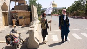 Makin Berkuasa, Taliban Rebut Kota Jalalabad di Afghanistan Tanpa Perlawanan