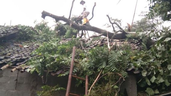 斯莱曼被大雨击中,一人死亡