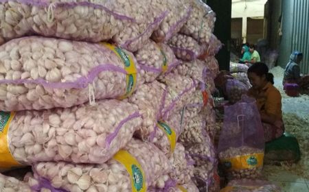 Kementan Terbitkan Rekomendasi Impor Bawang Putih Volume 1,1 Juta Ton