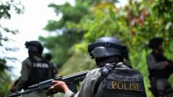 Danki D AKP R Removed Due To Brimob Incident Killed In OTK Attack In Napua Jayawijaya