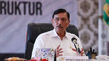 Luhut Strictly Reprimands Bali Governor On Handling COVID-19