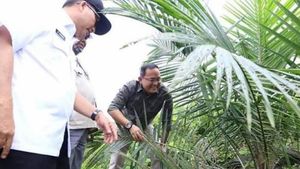 Kabupaten Musi Banyuasin Menargetkan Wilayahnya Menjadi Pusat Energi Biofuel 2030