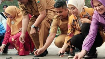 Bukan Sekadar Wisata, 800 Tukik Sudah Dilepas dari Konservasi Penyu Pariaman