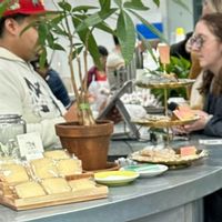Perusahaan Kriptonya Ambruk, CEO Alameda Research Caroline Ellison Malah Nongkrong di Warung Kopi