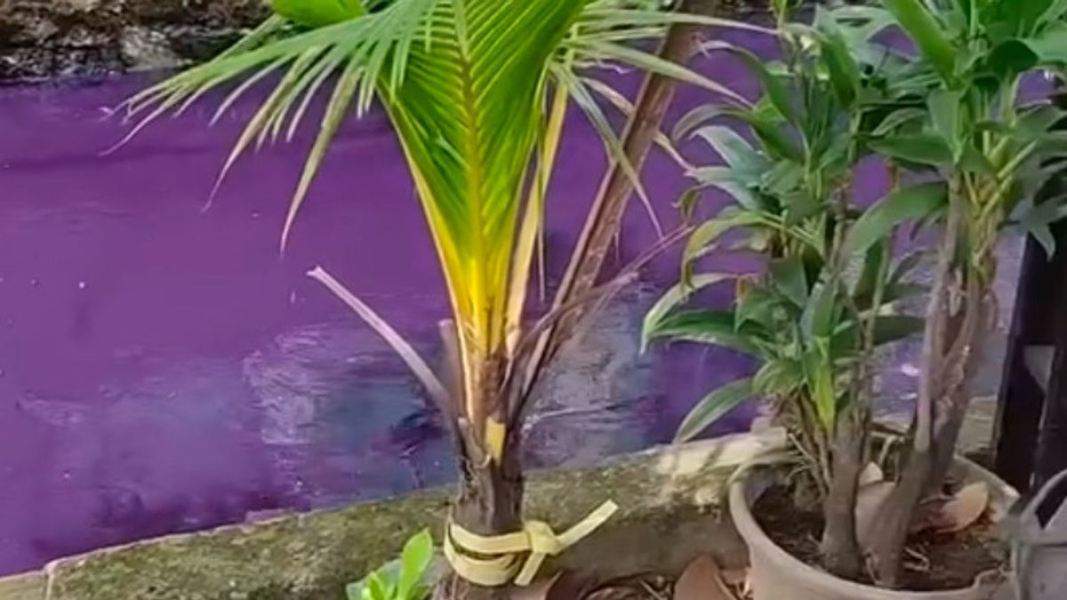 Air Kali Bukit Tiara Changes Purple, Allegedly Polluted With Industrial Waste