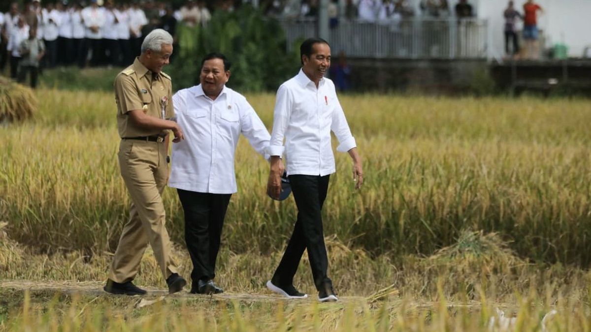 Jokowi Bicara soal Panen Raya Bareng Prabowo dan Ganjar di Kebumen