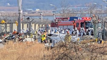 sud-coréen analyse toujours la boîte noire des avions d'eau