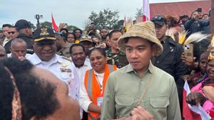   Gibran Kembali ke Jakarta Usai Batalkan Kunjungan ke Yahukimo karena Alasan Keamanan