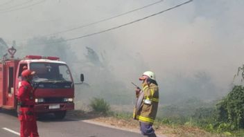 ベリトゥンダムカン、3ヘクタールの森を燃やした火を消す