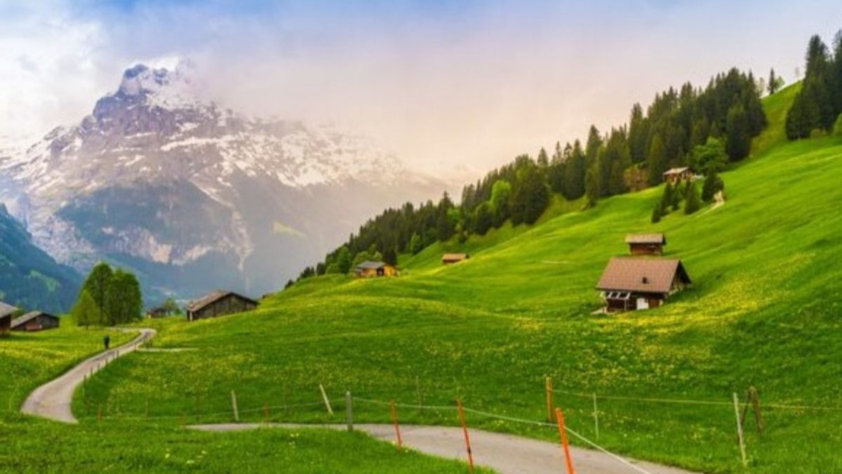 Kerap Disamakan, Pahami Bedanya Burnout dengan Post Holiday Blues