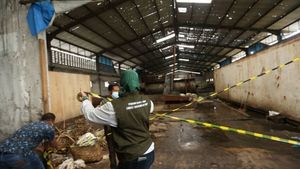 Pemko Medan Tutup Pabrik Pengolahan Bulu Ayam, Alasannya Gara-Gara Keluhan Masyarakat