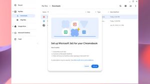 Google akan Bawa Microsoft 365 ke Dalam ChromeOS Tahun Ini