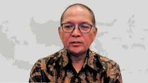 OJK: Penting bagi Masyarakat untuk Punya Asuransi Perjalanan agar Dapat Perlindungan saat Berwisata