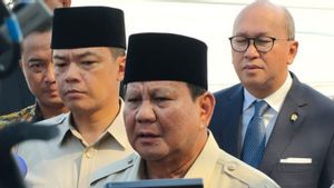 Presiden Prabowo: Indonesia Siap kalau Diminta Pasukan Penjaga Perdamaian di Palestina 