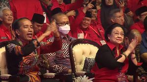 Gerindra Refuses To Comment About Jokowi Being Fired By PDIP, Dasco: The Party Has Never Discussed It