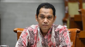 Ghufron Allegedly Misuses Authority In Ministry Of Agriculture, KPK Council Will Hold Ethics Trial