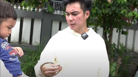 Rumah Baim Wong Kedatangan 10 Ular, Panji Petualang Beri 3 Penyebabnya