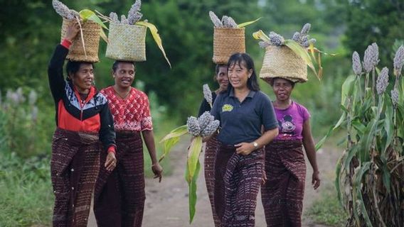 Getting to know Maria Loretha, Seed Preserver and Pioneer of Sorgum Cultivation in Larantuka NTT