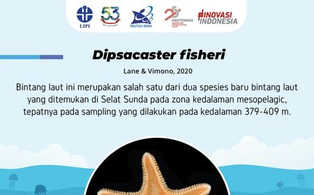 LIPI Temukan Spesies Baru Bintang Laut, Kepiting dan Ikan di Perairan Selat Sunda