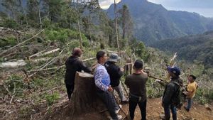 <i>Reje</i> Kampung di Aceh Tengah Ditangkap Terkait Dugaan Perusakan Hutan Lindung