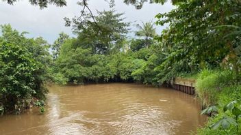 Pemprov DKI Prioritas Tangani 6 Lokasi Rawan Banjir di Ciliwung