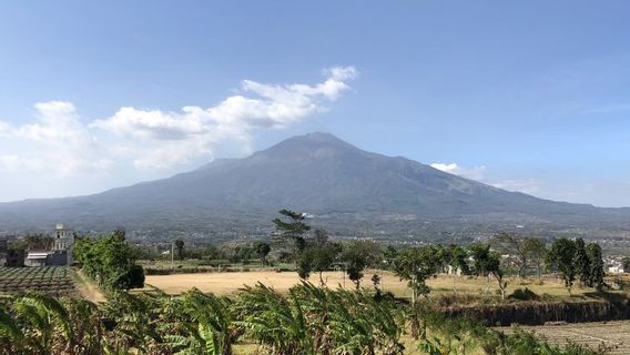 Sempat Ditutup karena Operasi SAR, Pendakian Gunung Arjuno Kembali Dibuka