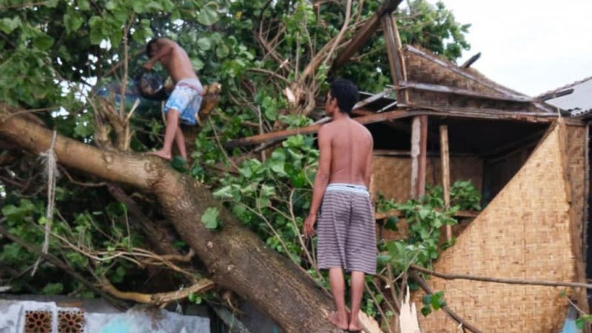 Beliung Puting Dozens Of Housing In 6 East Lombok Hamlet