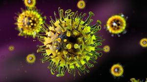 Hantavirus Mulai Terdeteksi di Berbagai Negara, WHO Beri Penjelasan