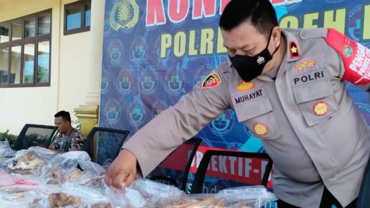 الشرطة تعتقل مهرب نمر سومطرة في جنوب غرب آتشيه