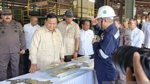 Dari Bangka Belitung, Presiden Prabowo: Kita Tidak Perlu Takut Basmi Penyelundupan, Illegal Mining