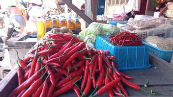 Berita Makassar Terbaru: Harga Cabai - Daging Sapi di Pasar Tradisional Makassar Bergerak Naik