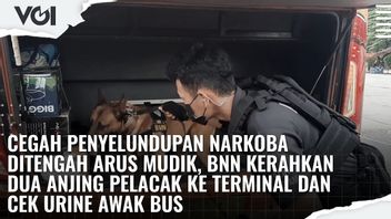 VIDEO: Cegah Penyelundupan Narkoba Ditengah Arus Mudik, BNN Kerahkan 2 Anjing Pelacak Ke Terminal