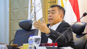 Ketua Pansus BLBI DPD Sarankan Fadel Muhammad Fokus Urus Masalah Bank Intan