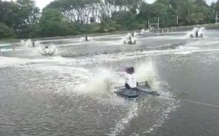 Dugaan Mencemarkan Laut, Pemerintah Tutup Perusahaan Tambak Udang di Lampung