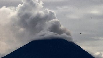 DVI小组确定了Semeru火山爆发的38具受害者尸体中的28具，尸体已被其家人带走