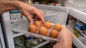 Cara Menyimpan Telur dengan Benar Supaya Awet, 7 Kesalahan Ini Justru Banyak Dilakukan