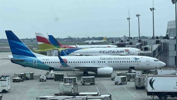 Kemenaprekraf Harap Harga Tiket Pesawat Kembali Turun di Semester I 2025