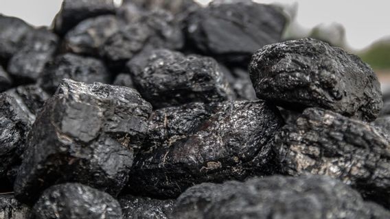 ジャンビの石炭埋蔵量は19億トンに達しますが、探査段階は何ですか?