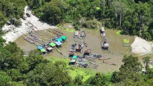 Kemenhut Jerat Pidana Penjara 12 Pelaku Tambang Emas Ilegal di TN Tanjung Puting