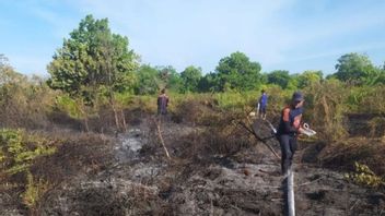 Potensi Kebakaran Hutan Usai Ditemukan Dua Titik Api di Aceh