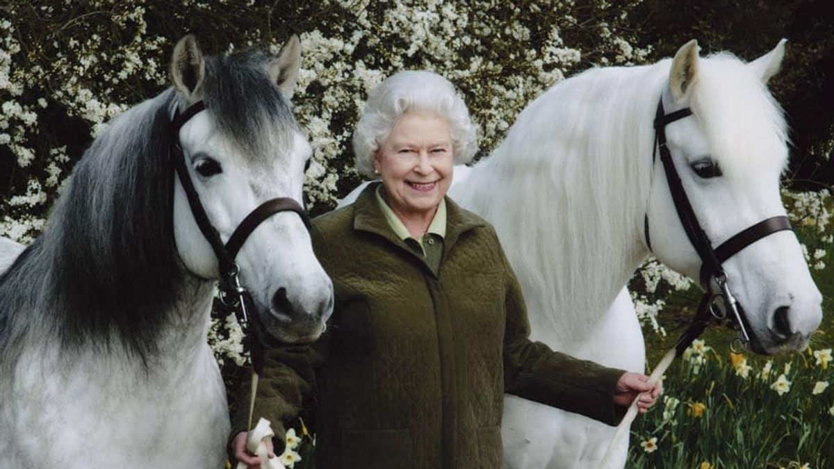 チャールズ2世、エリザベス女王2世が残した14頭の競走馬を売却、訓練を受けた調教師もいる