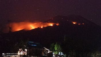 Incendies De Forêt Dus à L’éruption De Lave à Incandescence Du Mont Ile Lewotolok NTT, Feu Difficile à éteindre