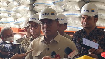 Wamentan: Harga Beras Global Turun karena Indonesia Setop Impor