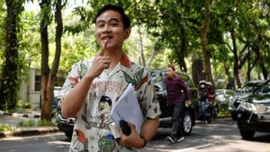 Gibran Sebut Banyak Hoaks soal Pembangunan IKN