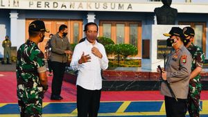 Panjang Lebar Penjelasan Presiden Jokowi Soal Pencabutan Ribuan Izin Pertambangan dan Pengunaan Lahan Negara
