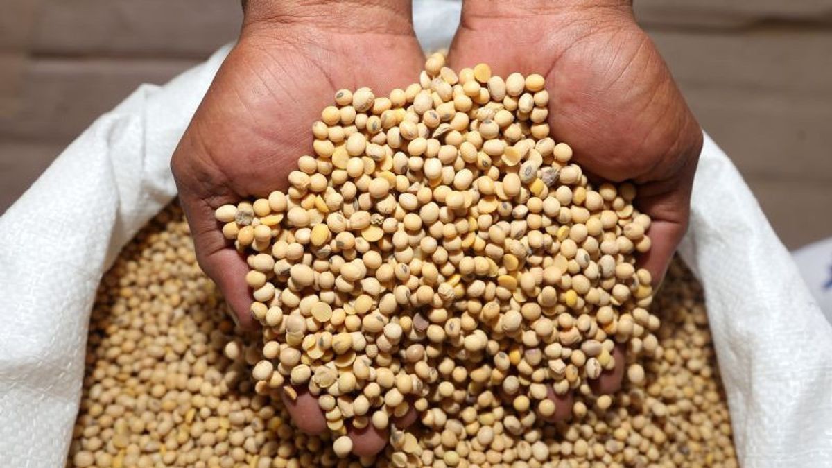 Determination Of Soybean Stocks Only A Week Remaining, Minister Of Trade Zulhas: That's Hoax, Supply Is Safe For Three Months